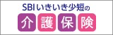 SBIZ̉ی